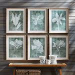Product Image 1 for Translucent Floral Prints, Set Of 6 from Napa Home And Garden
