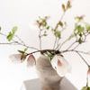 Product Image 3 for Esther Japanese Magnolia Blossoms - 37", Bundle of 2 from Napa Home And Garden