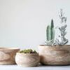 Product Image 2 for Medium Paulownia Wood Planter from Creative Co-Op