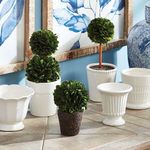 Product Image 5 for Boxwood Topiary Drop-Ins, Set Of 3 from Napa Home And Garden