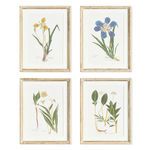 Product Image 1 for Assorted Pressed Flower Study, Set of 4 from Napa Home And Garden