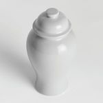 Top angled view highlighting jar’s lid knob and glossy surface reflections
