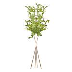 Product Image 2 for Shady Lady Black Olive Stems , Set Of 4 from Napa Home And Garden