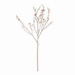 Product Image 1 for Pink Quince Blossom Branches , Set Of 2 from Napa Home And Garden