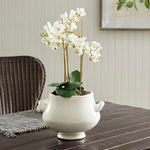 Cachepot styled with delicate white orchid on dark wood table near wicker chair and light wall paneling