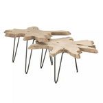 Product Image 2 for Drift Nesting Coffee Table from Essentials for Living