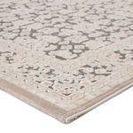 Product Image 1 for Regal Damask Gray/ White Rug from Jaipur 