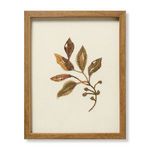 Product Image 1 for Botanical Relief Wall Art from Loloi
