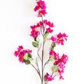 Product Image 5 for Agnes Bougainvillea Stems - 54", Bundle of 2 from Napa Home And Garden
