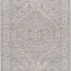 Product Image 1 for Avant Garde Woven Light Gray / Denim Rug - 6'7" x 9'6" from Surya