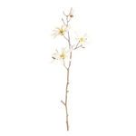 Product Image 1 for Star Magnolia Branches , Set Of 6 from Napa Home And Garden