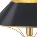 Close-up of black shade texture with visible brush strokes and softly worn gold edges