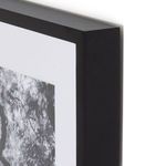 Product Image 4 for Tree Gaze IV By Coup D'esprit, Framed Landscape Photography from Four Hands