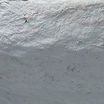 Product Image 3 for Garden Pedestal Bowl from Jamie Young