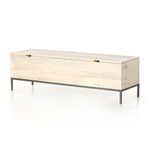 Product Image 2 for Trey Trunk from Four Hands