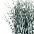 Product Image 1 for Blue Faux Oat Grass Drop-In 32" from Napa Home And Garden