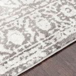 Product Image 1 for Monte Carlo Charcoal / Light Gray Rug from Surya