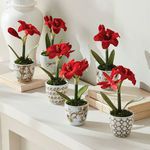Product Image 10 for Province Flower Pots, Set Of 6 from Napa Home And Garden