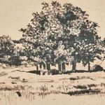 Product Image 4 for Path View by Dan Hobday from Four Hands