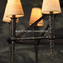 Product Image 7 for Blackthorn Chandelier from Currey & Company