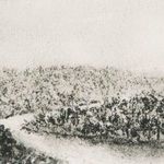 Product Image 11 for Hill Country Study Ii  By Aileen Fitzgerald from Four Hands