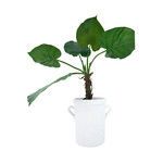 Product Image 3 for Alexandra Terracotta Crock from Creative Co-Op