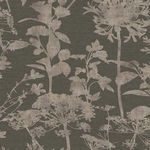 Esther Wallpaper in Chocolate with large beige umbellifer floral pattern and cotton effect texture