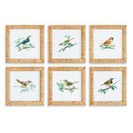 Product Image 1 for Songbird Petite Prints, Set Of 6 from Napa Home And Garden