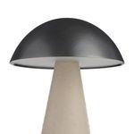Product Image 5 for Struzzo Rechargeable Accent Lamp from Arteriors