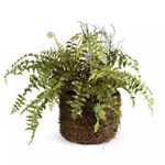 Product Image 2 for Boston Faux Fern Rustic Drop-In 12" from Napa Home And Garden
