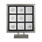 Product Image 1 for Sea Shell Table Top Display from Elk Home