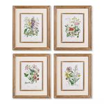 Garden Botanical Prints, Set Of 4 image 1