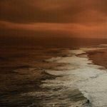 Product Image 9 for North Beach By Getty Images from Four Hands