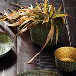 Product Image 1 for Rahul Shallow Cachepots (Set Of 2) from Napa Home And Garden