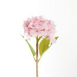 Product Image 2 for Hydrangea Stems , Set Of 6 from Napa Home And Garden