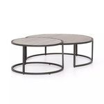 Product Image 1 for Alda Outdoor Nesting Table from Four Hands