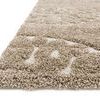 Product Image 1 for Enchant Beige Rug from Loloi