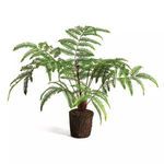 Product Image 2 for Faux Forest Fern Drop-In, 29.5" from Napa Home And Garden