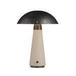 Product Image 1 for Struzzo Accent Lamp from Arteriors