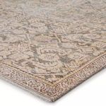Close-up showing rug’s flat texture and detailed border design with muted earth tones
