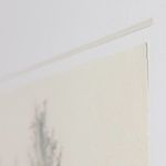 Product Image 13 for Tree Sketch By Dan Hobday from Four Hands