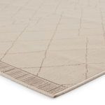 Product Image 1 for Almasi Indoor/ Outdoor Trellis Beige/ Dark Taupe Rug from Jaipur 