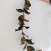 Product Image 4 for Louise 4.5' Magnolia Leaf Garland from Raz Imports