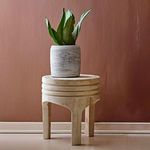 Solano Carved Stool styled as small plant stand with potted green plant against terracotta wall