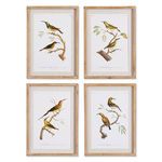 Product Image 1 for Sunbird Study, Set Of 4 from Napa Home And Garden