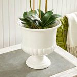 Product Image 6 for Mirabelle Decorative Pedestal Bowl from Napa Home And Garden