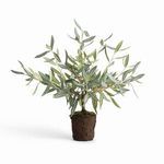 Product Image 1 for Olive Tree Drop-In from Napa Home And Garden