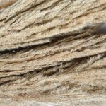Product Image 3 for Long Natural Everlasting Dried Plants Bunch from BIDKHome