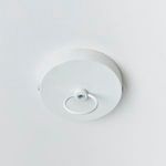 Product Image 4 for Lucia Grande Pendant from Napa Home And Garden