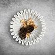 White fluted marble bowl styled with pine cones and brown dried petals on a textured gray surface